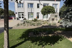 Parčík před úřadem v Nehvizdech, nová výsadba